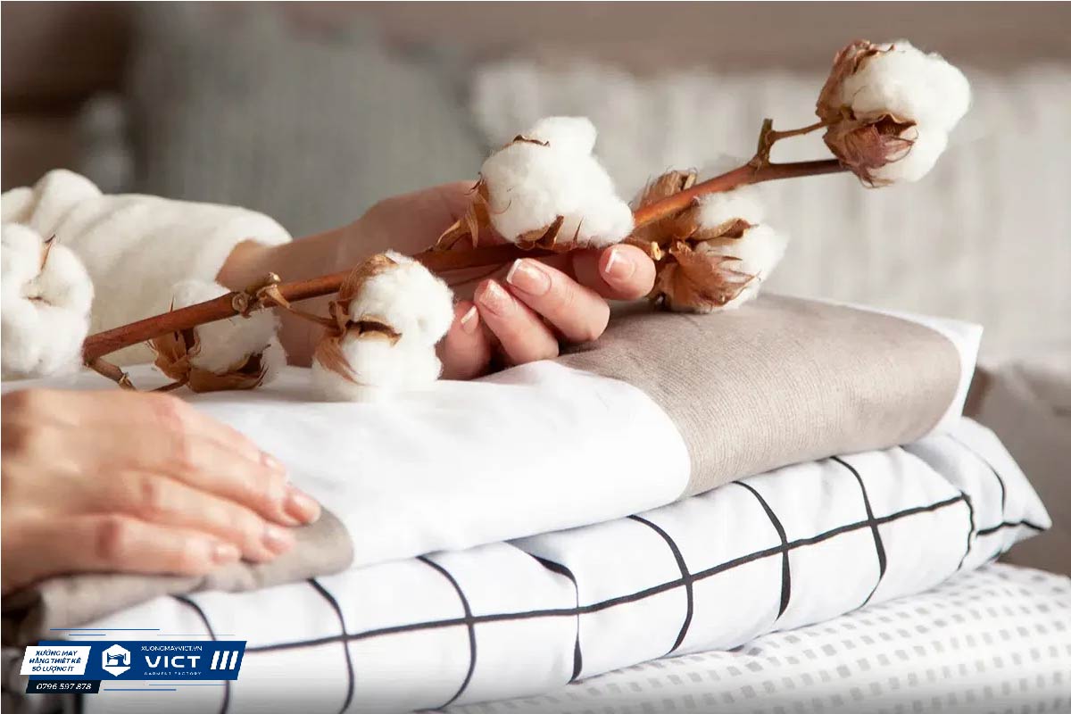 Cotton - Chất liệu "quốc dân" trong may mặc